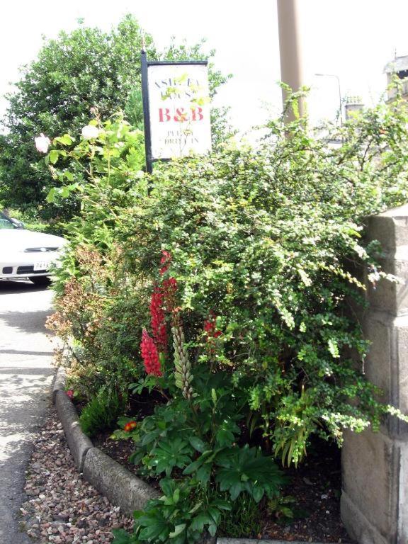 Ashley House Bed & Breakfast Dundee Eksteriør bilde