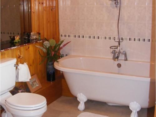 Ashley House Bed & Breakfast Dundee Eksteriør bilde